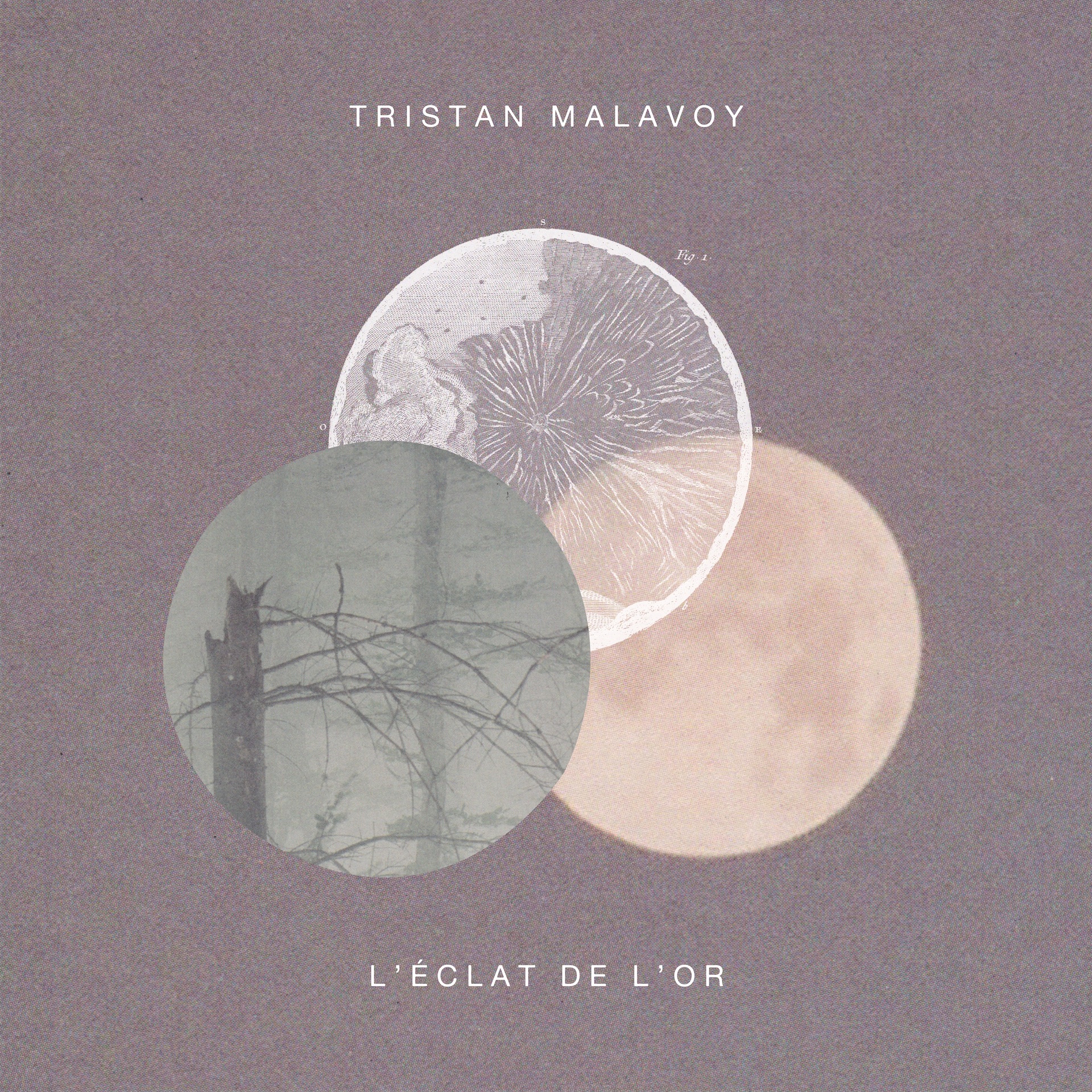 TRISTAN MALAVOY : Nouvel EP L'éclat de l'or maintenant disponible