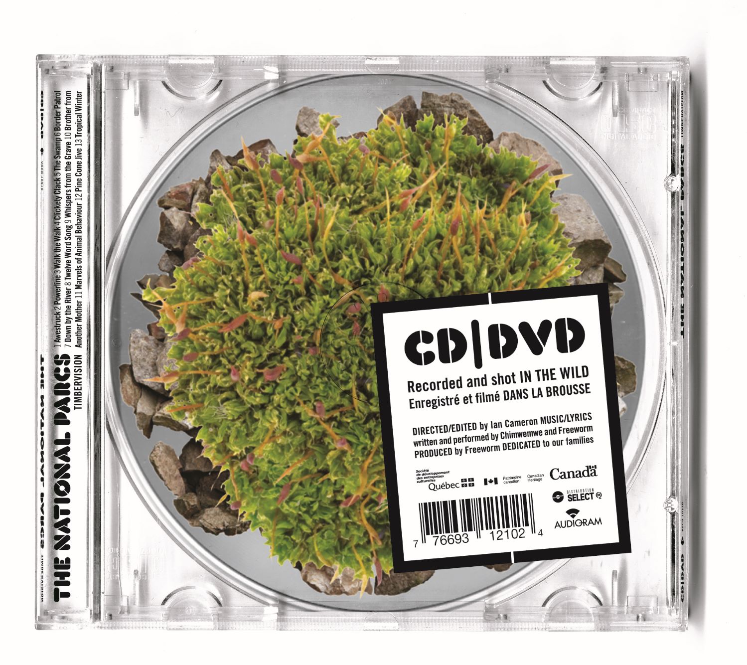 Timbervision (cd/dvd)
