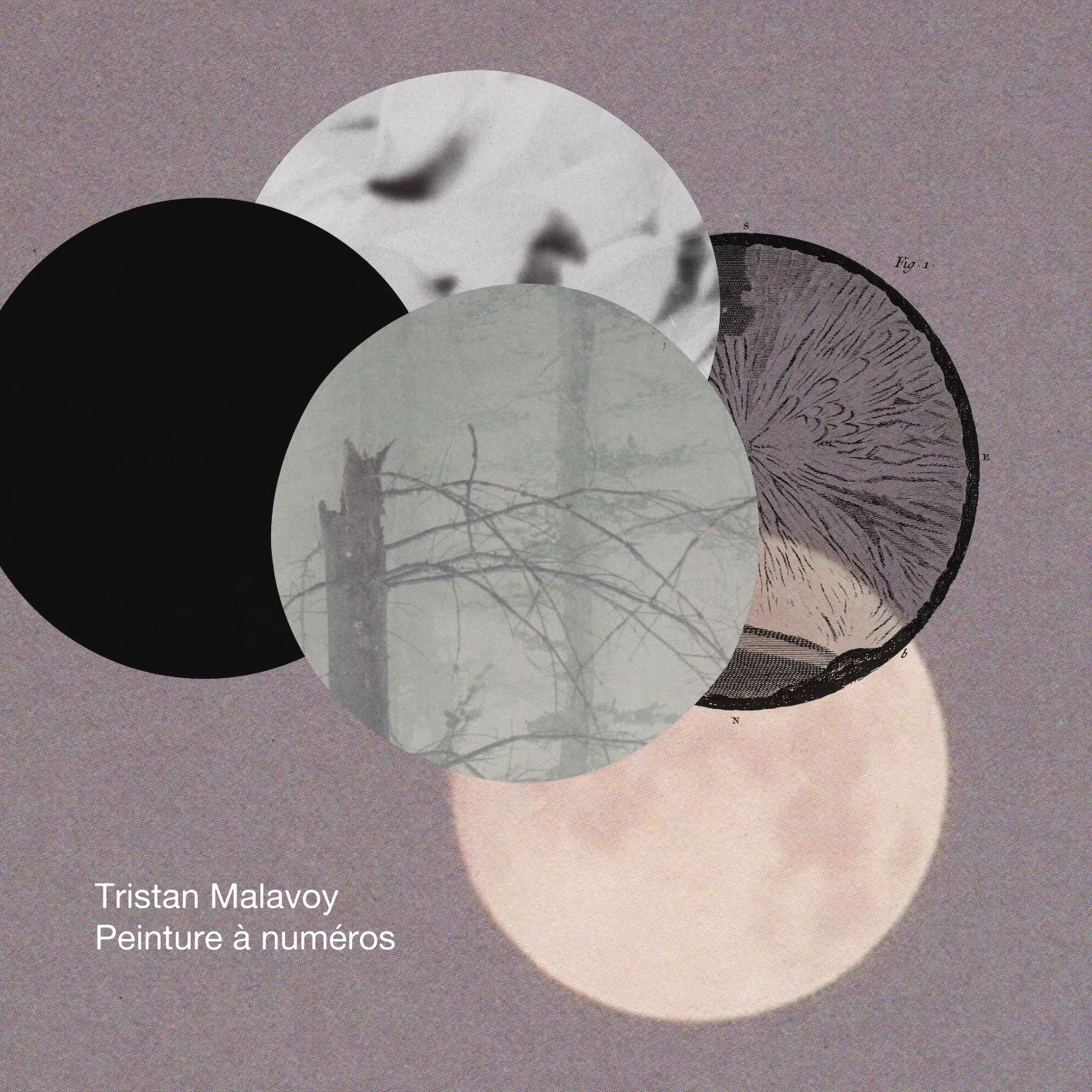 Tristan Malavoy