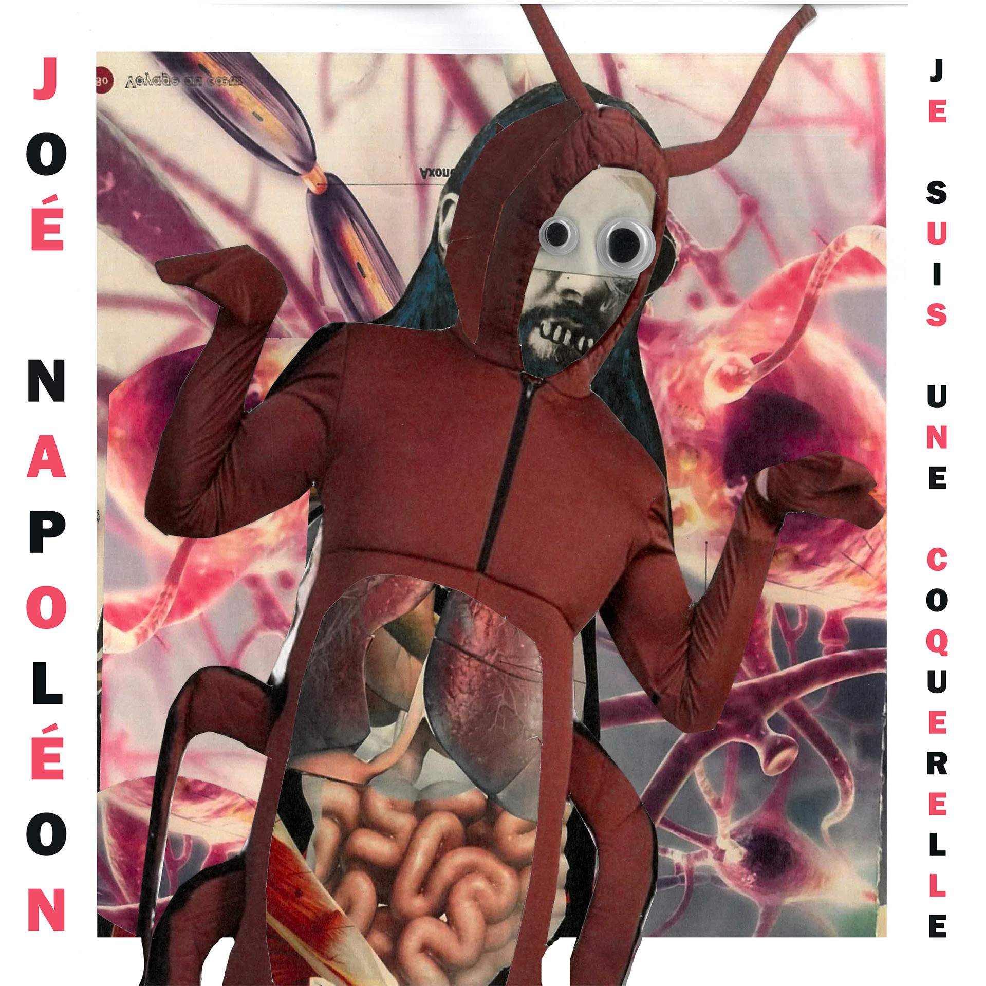 Je suis une coquerelle (single)