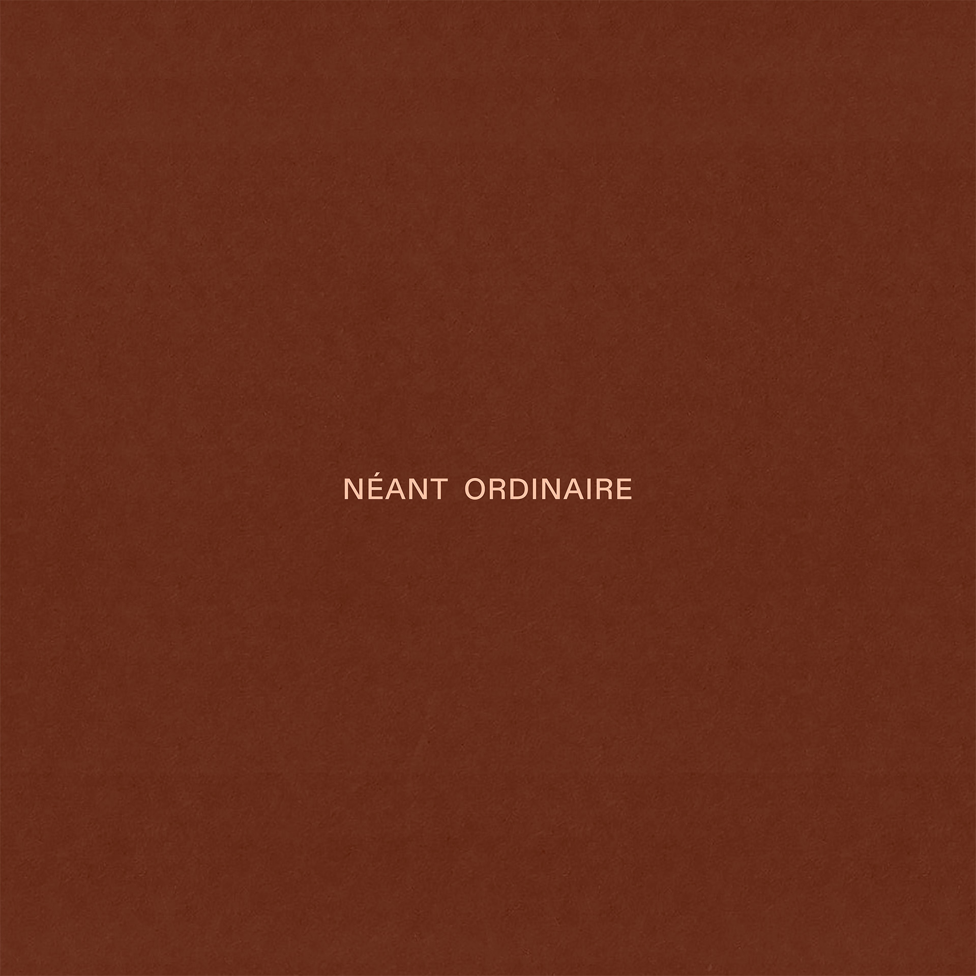 Néant ordinaire (single)