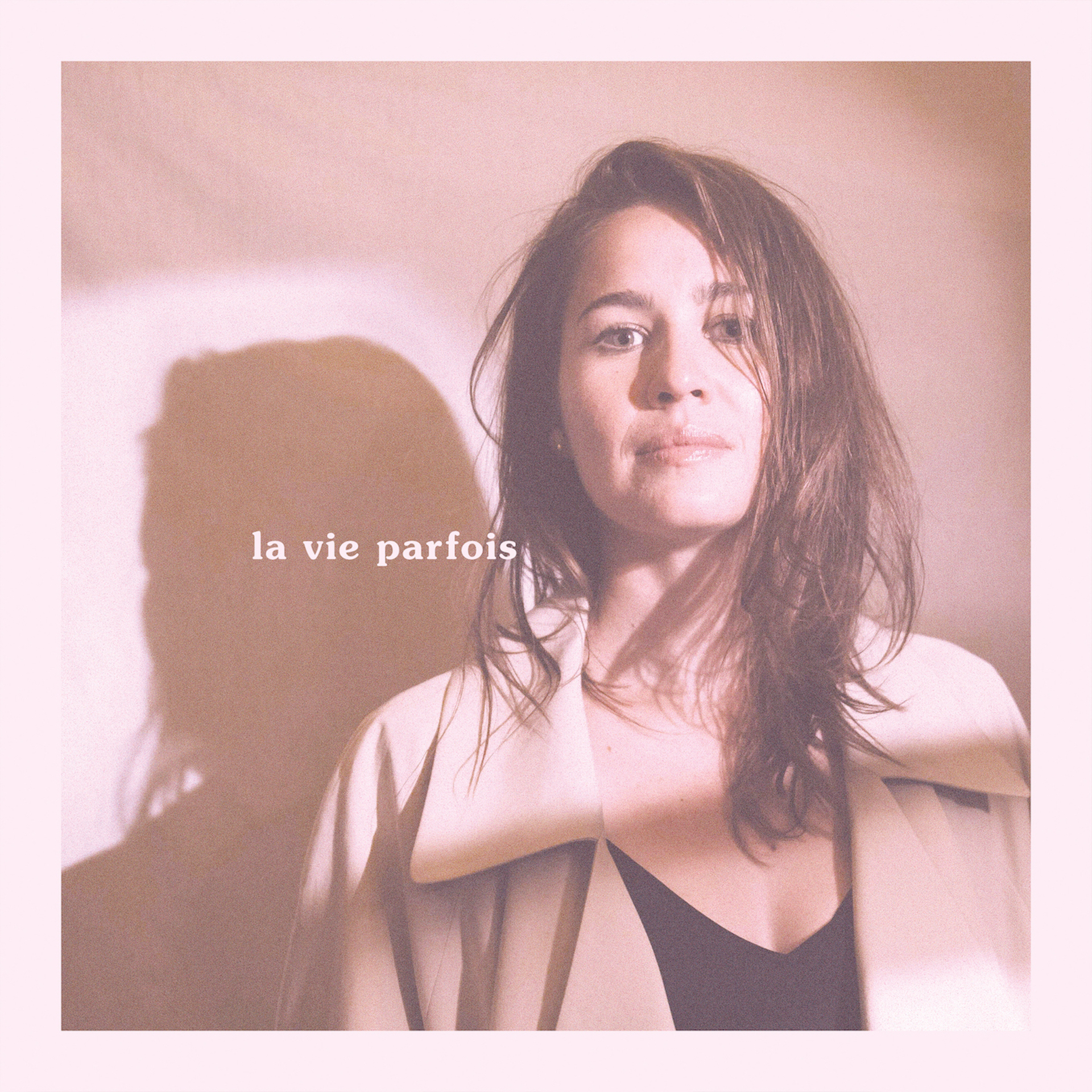 La vie parfois (single)