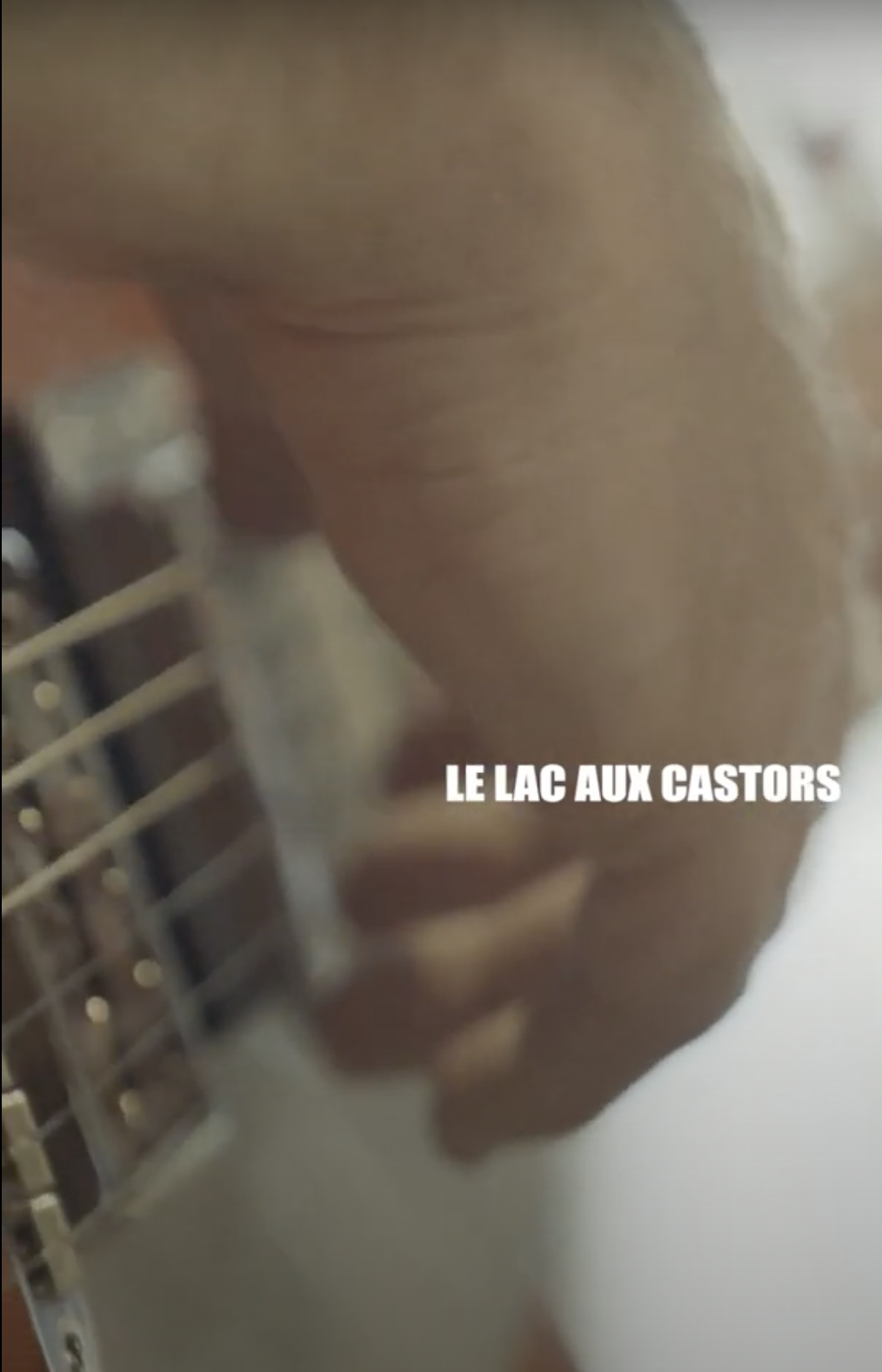 Tristan Malavoy - Lac aux castors | commentaire