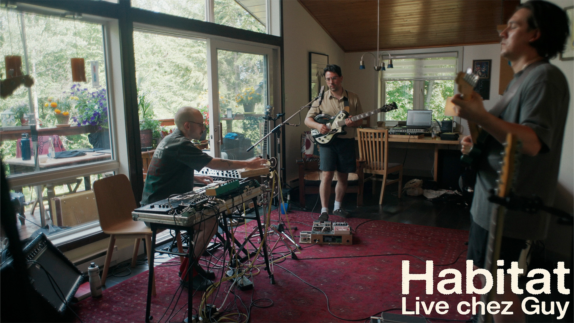 Frais Dispo - Habitat (Live chez Guy)